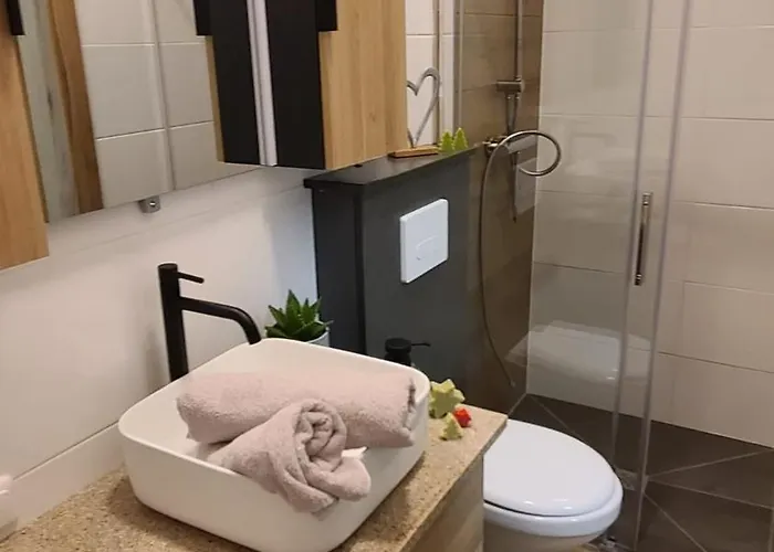 Bestfriends-lenzing *